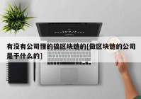 有没有公司懂的搞区块链的[做区块链的公司是干什么的]